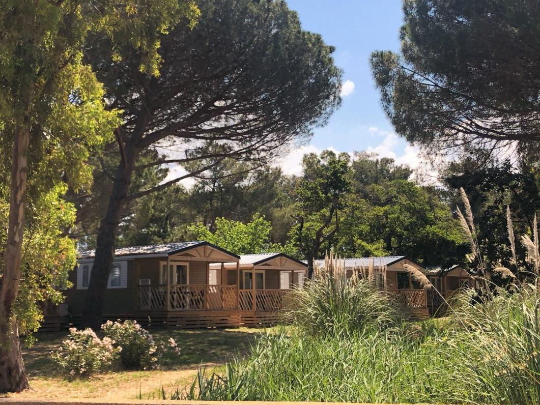 Camping Dolce Vita Calvi  Exterior foto